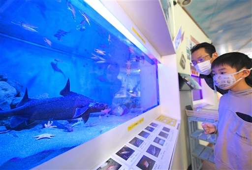 ญี่ปุ่นเปิดตัว "ฉลามหินผิวหยาบ"
