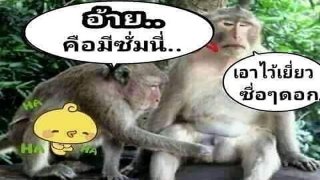 รวมภาพขำๆ ตลกๆ ก่อนทานข้าวเย็น ระวังขำจนข้าวกระเด็นนะครับ...