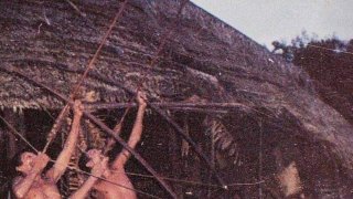 โควิด 19 คร่าชีวิต ชายคนสุดท้ายของเผ่า "จูมา" ในป่าอเมซอน