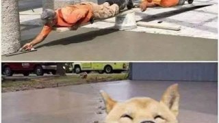 เฮฮา ขำขัน เช้าวันอังคาร