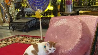 ภาพฮาๆ ตลกๆ เช้าวันศุกร์