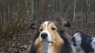 เฮฮา ตลกๆ เย็นวันศุกร์ 🤣🤣🤣