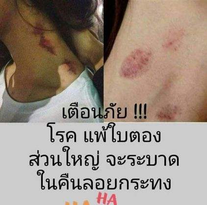 รวมภาพ ตลก ขำๆ ฮาๆ ชวนหัวเราะ