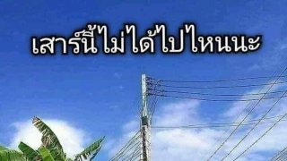 ภาพตลกๆ ฮาๆ คลายเรียด