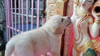 นี่มันอะไรกันครับ ภาพนี้ ช่วยอธิบายหน่อย