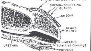 ขีเปียก คืออะไร รู้ไว้ได้ประโยชน์