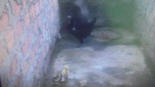 ขอประนามการหากินกับความตายของผู้อื่น