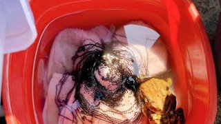 เฮฮาก่อนวันทำงาน