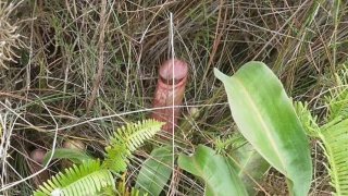 รวมภาพความฮา...