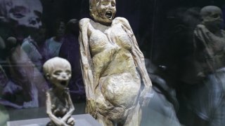 มัมมี่อียิปต์ท้องแก่ !! ครั้งแรกของโลก