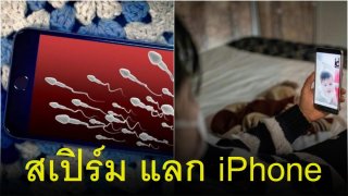 เพราะเหตุนี้ที่ จีนจึงมีแคมเปญรับบริจาคสเปิร์ม เอามาแลก iPhone