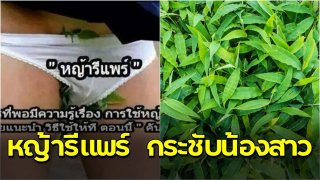 ยังจำได้มั้ย!! เคยโด่งดัง&ldquo;หญ้ารีแพร์ หญ้าฮี๋ยุ่ม&rdquo; ช่วยกระชับน้องสาว