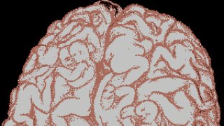 ผู้ชายคิดถึงเรื่องเซ็กส์ตลอดเวลาจริงหรือเปล่าค่ะ