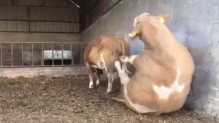 Sexครั้งแรก มันเจ็บมากกก