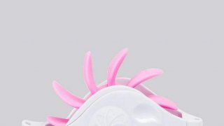 ของเล่นทางเพศ สุดแปลกใหม่ที่นิยมและขายดีในตลาด