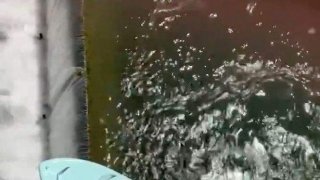 วินาทีหวาดเสียว ! เรือสาวกลุ่มนี้โยกเยกริมเขื่อนพิฆาตเหนือระดับน้ำ 36 ฟุต