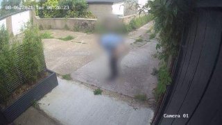 ชายคนหนึ่งแอบถ่ายอุจจาระที่ถนนหลังบ้านคนอื่นเป็นประจำ ซึ่งจับภาพได้ผ่านกล้องวงจรปิด