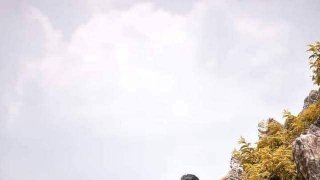 รวมภาพฮาๆ คลายเครียด ยามเย็น