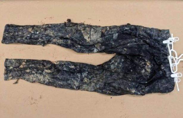 ปริศนาสุดสยอง! พบศพหญิงสาวในอุทยานแห่งชาติสหรัฐฯ มือและเท้าหายไป
