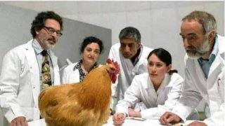 ขำขำ สบายๆ