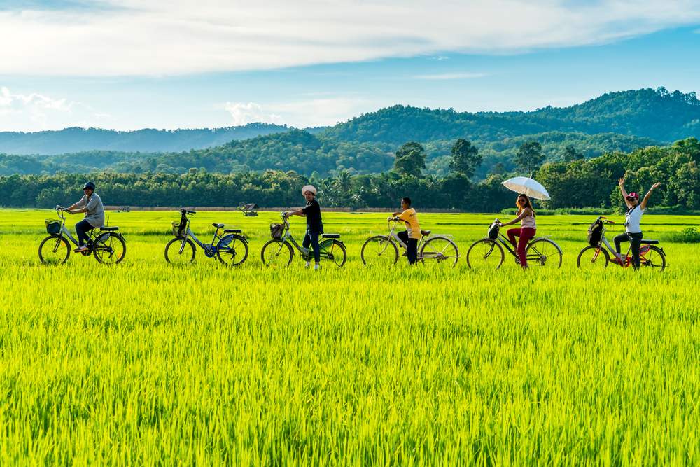 ชนบทไม่เหมือนในอดีต"ในน้ำมีปลาในนามีข้าว"