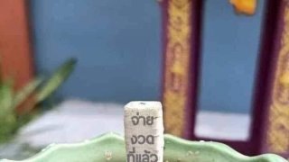 รวมภาพฮาๆ ขำขัน ก่อนหวยออก