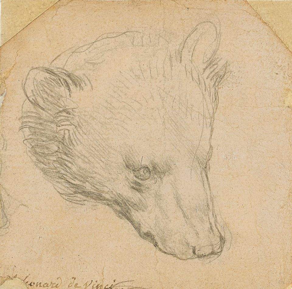 รูปวาด "หัวหมี" ของ "ดา วินชี" ราคาสูงถึง 12 ล้าน