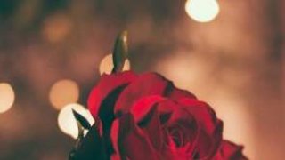 เเอบรักเพื่อน