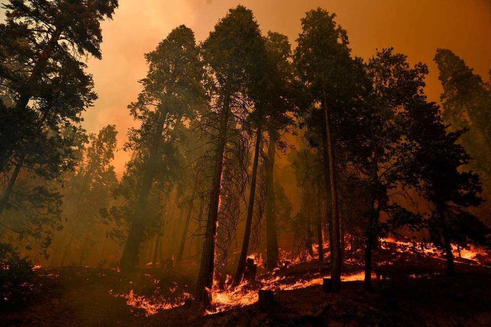 เกิดไฟป่า 12 แห่งพร้อมกันในแคลิฟอร์เนีย นักผจญเพลิงยังคงดับไฟต่อไป