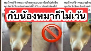 สลด! ชายแอบลักพาตัวน้องหมาไปทำอนาจารทุกวัน
