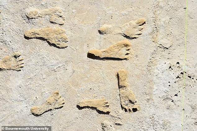 ค้นพบรอยเท้ามนุษย์จำนวนมาก ในรัฐนิวเม็กซิโก ถูกสร้างขึ้นเมื่อ 23,000 ปีก่อน