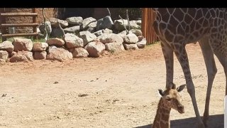 ภาพถ่ายสุดอัศจรรย์ ที่หลายๆคนจะต้องดูซ้ำ!!