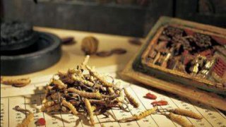 เรื่องน่ารู้เกี่ยวกับถั่งเช่า วิตามินซี ทับทิมสกัด ไลโคพีน และจมูกถั่วเหลือง ที่มีต่อสุขภาพและสมรรถภาพทางเพศในผู้หญิง