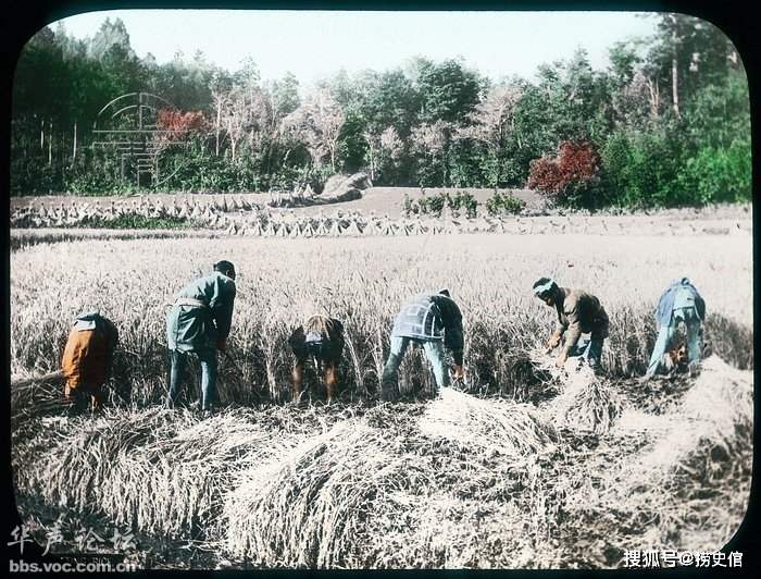 ผลงานของเกษตรกรชาวญี่ปุ่นในช่วงปี ค.ศ. 1920 และ 1930