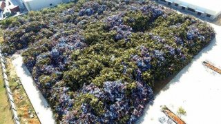 25 ภาพชวนอึ้ง!!