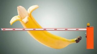 ทำอย่างไรให้จู๋ใหญ่ เท่าชาวคองโก?