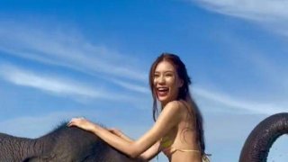 สาวขี่งวงช้าง สุดท้ายถึงกับหน้าคว่ำ