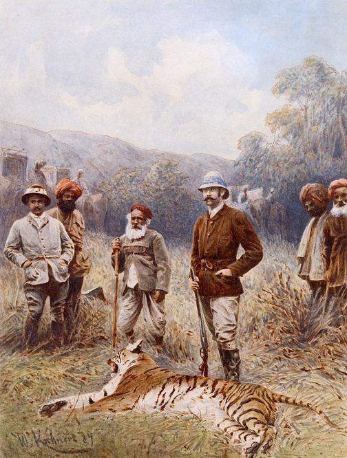 การล่าเสือของอังกฤษในอินเดีย