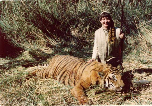 การล่าเสือของอังกฤษในอินเดีย