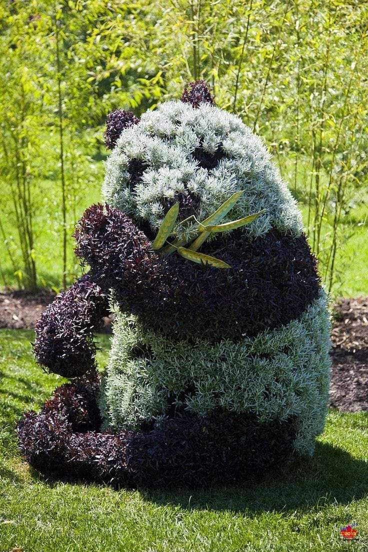 โคตรเจ๋ง​ 10 ภาพสัตว์​ ทำจากพืชและดอกไม้​ แต่ดูเหมือน​ของจริงมากๆ