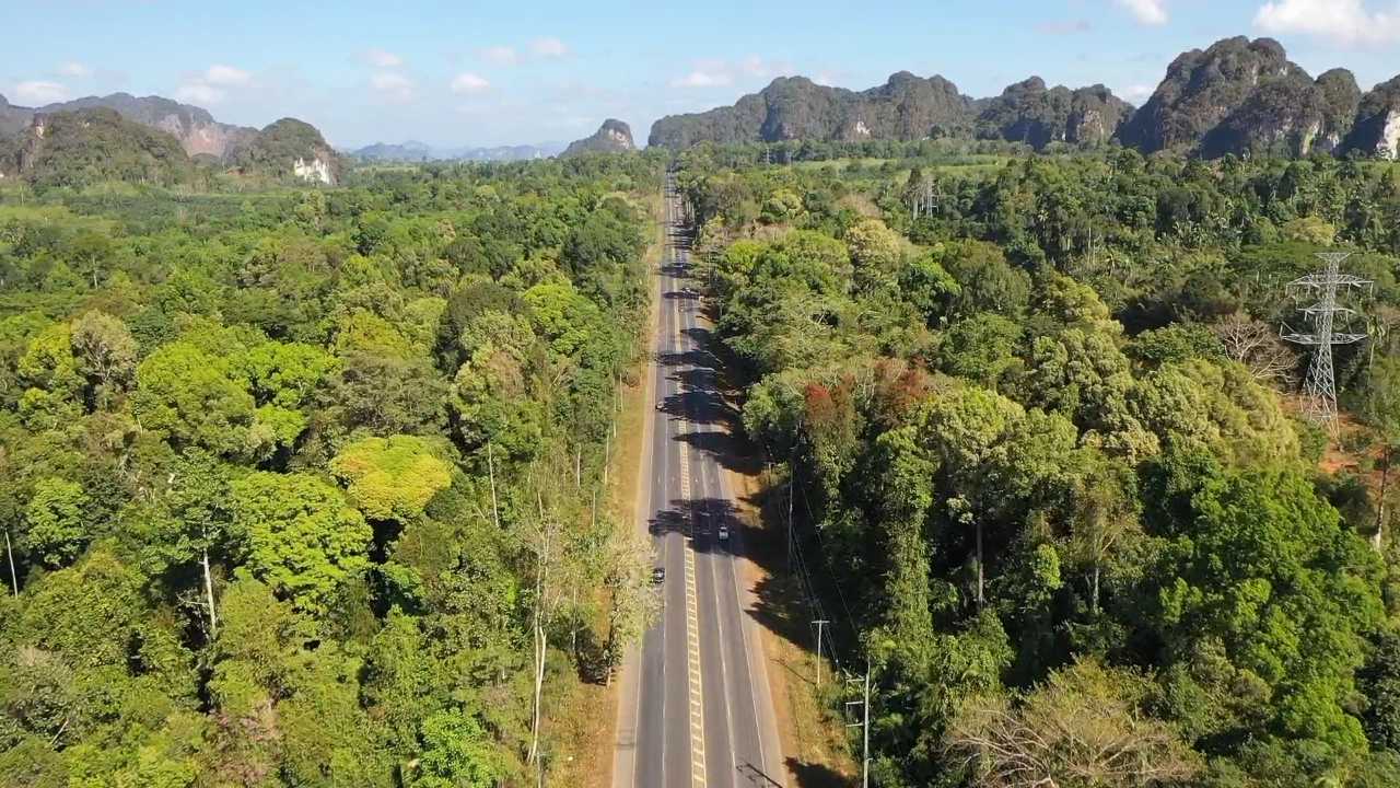 ที่เดียวในไทย!!ป่าแอมะซอนเมืองกระบี่ไม่ต้องไปบราซิล
