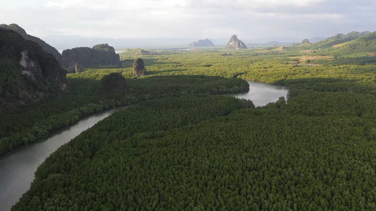 ที่เดียวในไทย!!ป่าแอมะซอนเมืองกระบี่ไม่ต้องไปบราซิล