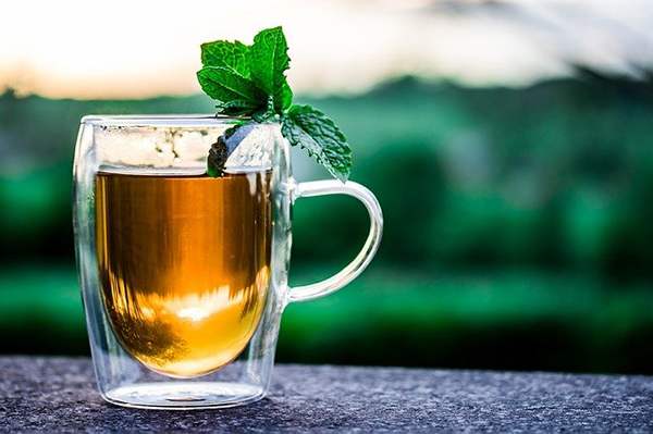 แนะนำ “ชา” เครื่องดื่มสุดฮิตสารพัดประโยชน์