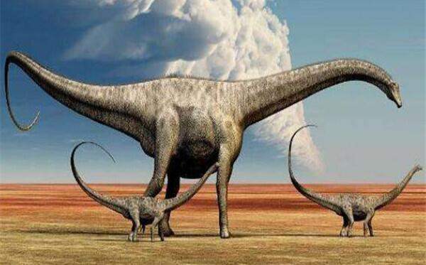 ไดโนเสาร์กินเนื้อมีลักษณะอย่างไร? Ammosaurus：ไดโนเสาร์กินเนื้อขนาดเล็กในอเมริกาเหนือ