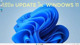 วิธีปิด Update ของ windows 11 ถาวรตลอดไป