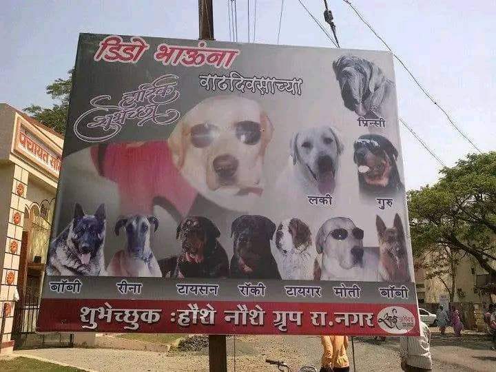 อินเดียคือที่สุดของการอวยพรวันเกิด น้องหมา