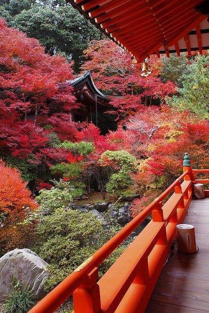 ฤดูใบไม้ร่วง in Japan