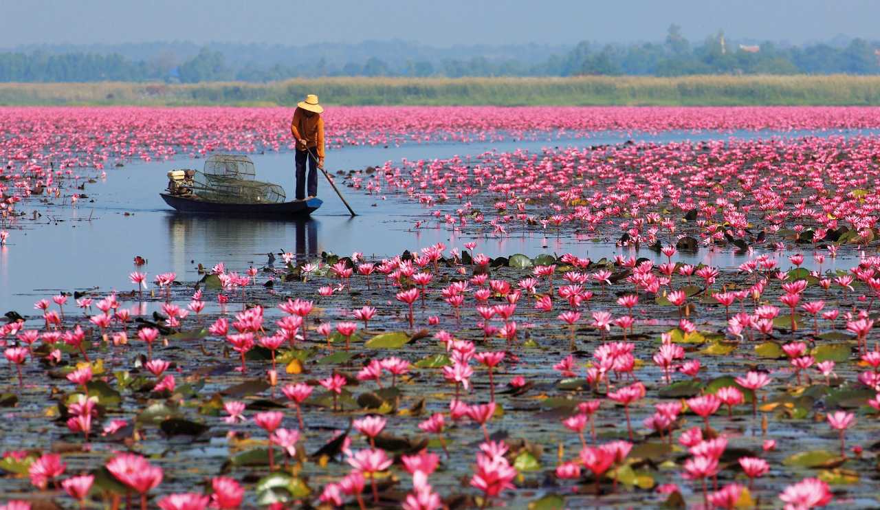 5 ทะเลสาบน้ำจืด ที่ใหญ่ที่สุดในประเทศไทย