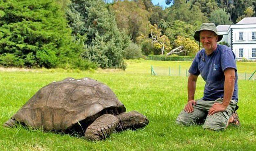 ฉลองวันเกิด! "เต่ายักษ์โจนาทาน" อายุยืนที่สุดในโลก คาดเกิดตั้งแต่สมัยรัชกาลที่ 3