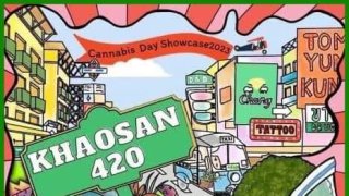 4/20 วันกัญชา